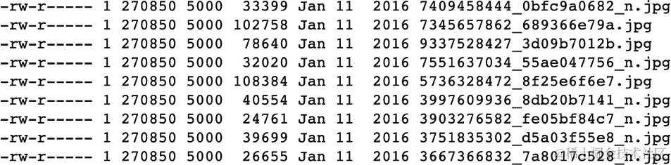 玫瑰目录中的十个示例图像文件