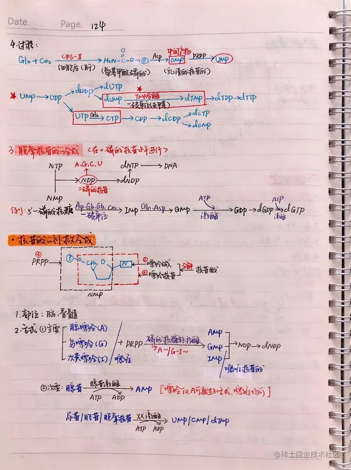 生化手写笔记.pdf