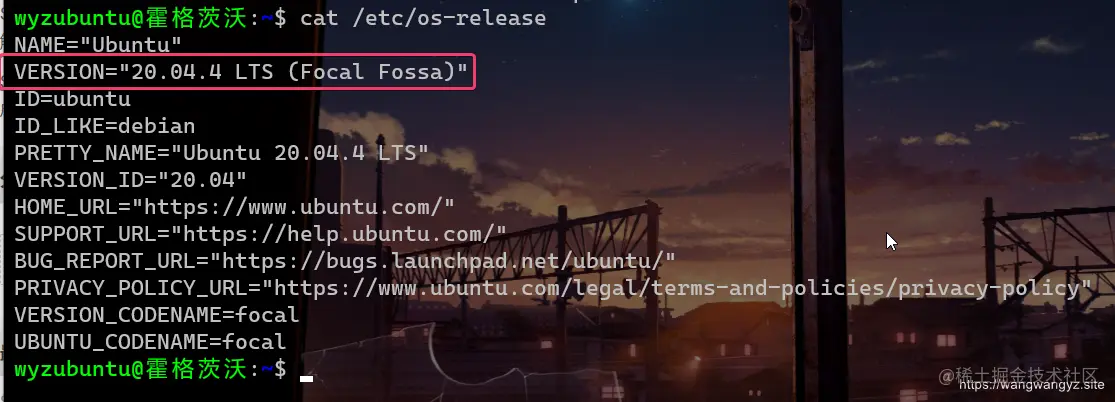 image-20220424132217753