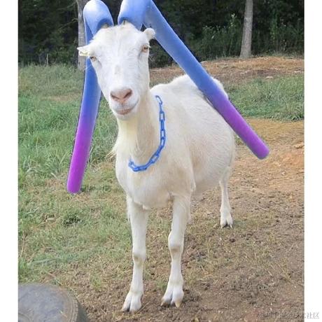 你永远可以相信好兄弟于2022-12-21 19:54发布的图片