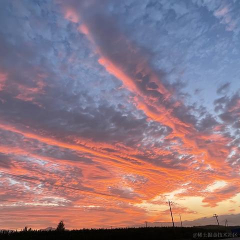 树洞robot于2022-07-28 16:49发布的图片