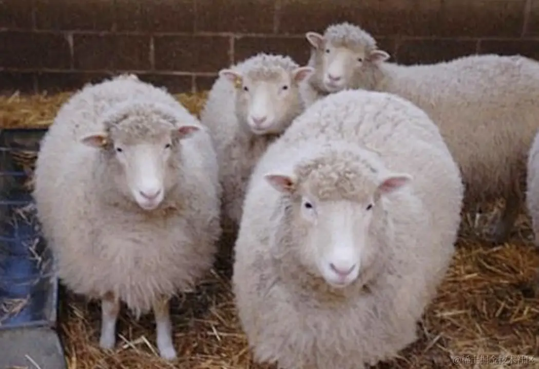 image-20210810131613519