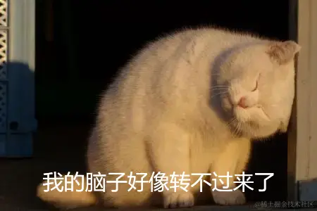 猫1.png