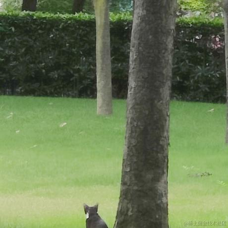 bysking于2023-08-08 19:07发布的图片