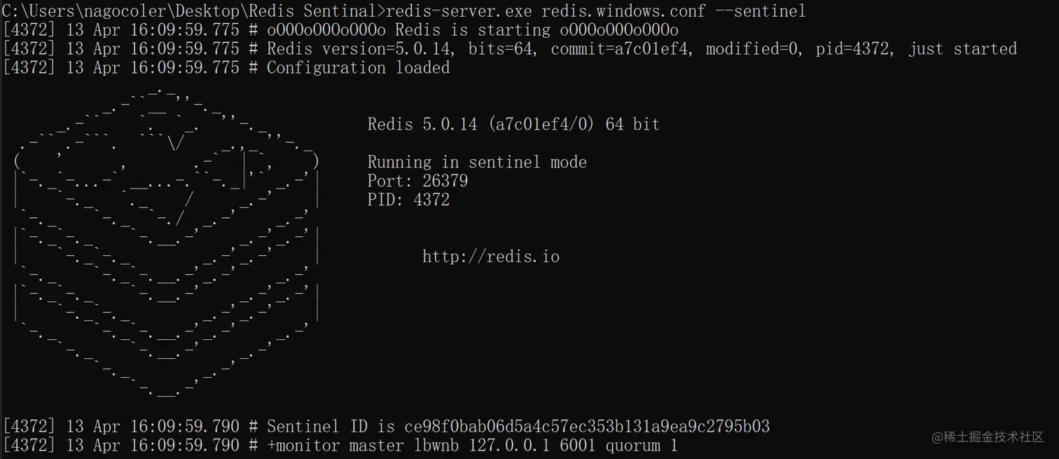 image-20220413161154185