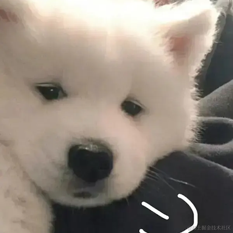 狗砸于2022-12-29 09:16发布的图片