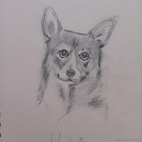 超牛programmer于2023-06-08 07:50发布的图片