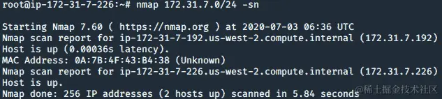 图 9.41 – 扫描新发现的内部主机
