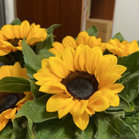 小弘帽于2022-04-12 22:18发布的图片