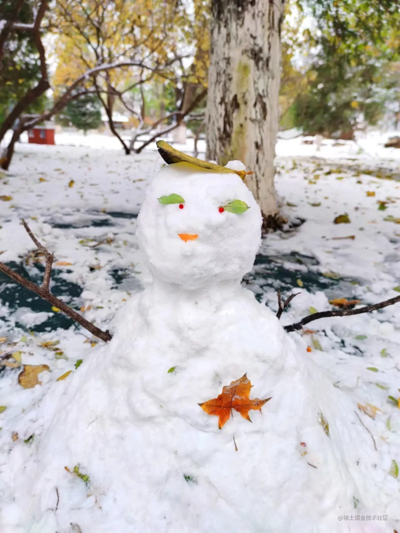 第一次堆雪人