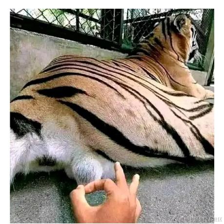 宽宽于2020-08-17 18:57发布的图片