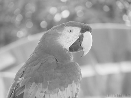 图像处理入门：如何处理不同类型的图像