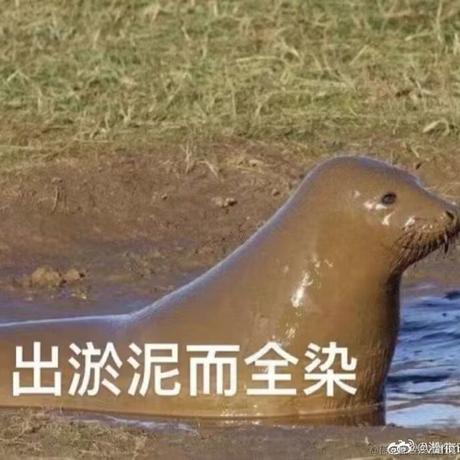 陪你唱到八十岁于2022-12-25 00:33发布的图片