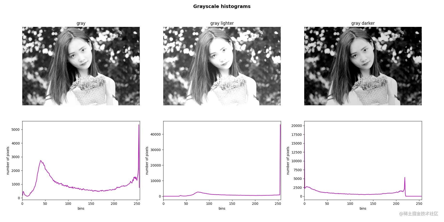 OpenCV gray histogram details - Moment For Technology