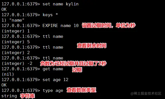 image-20200424110243342