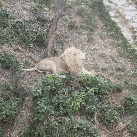 中国好公民st于2022-11-12 22:46发布的图片