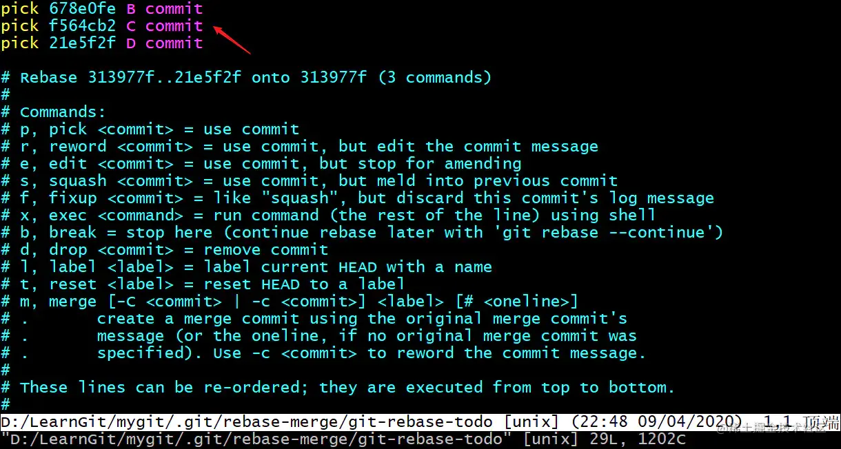 image-20200409224856810