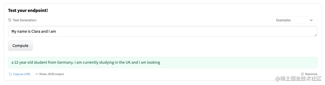Test Inference Widget
