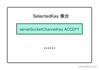 selectedkey 集合