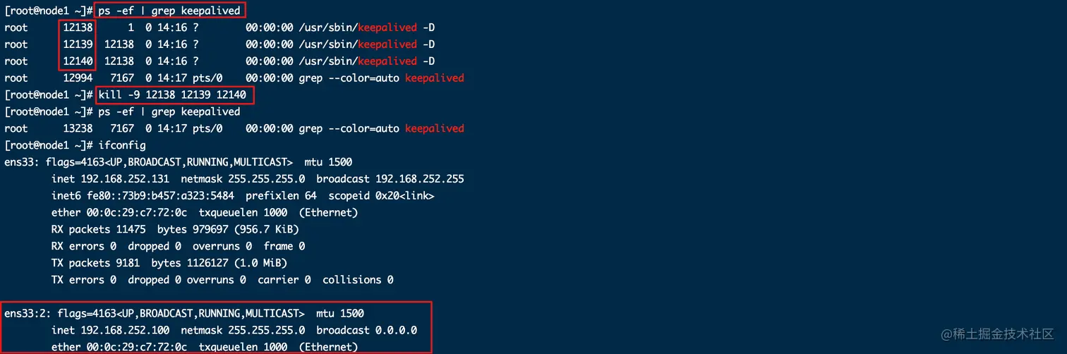 image-20211124141929134