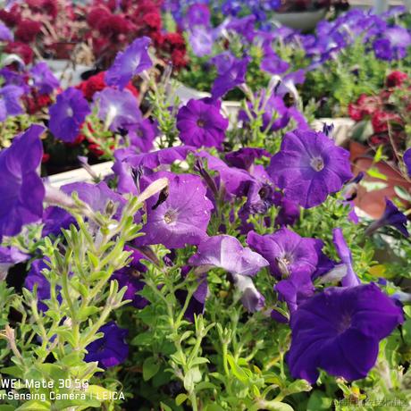 wt1于2023-06-26 17:34发布的图片