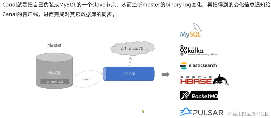 image-20221019155404286