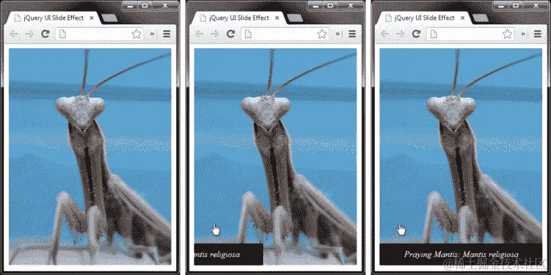 行动时间 - 将元素滑动进出视图