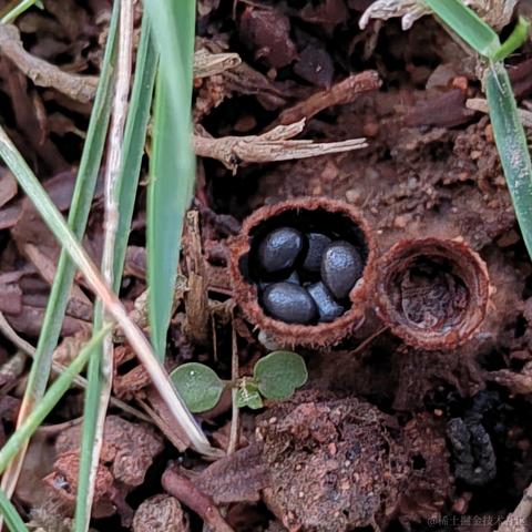 Uwiling于2022-11-28 19:58发布的图片