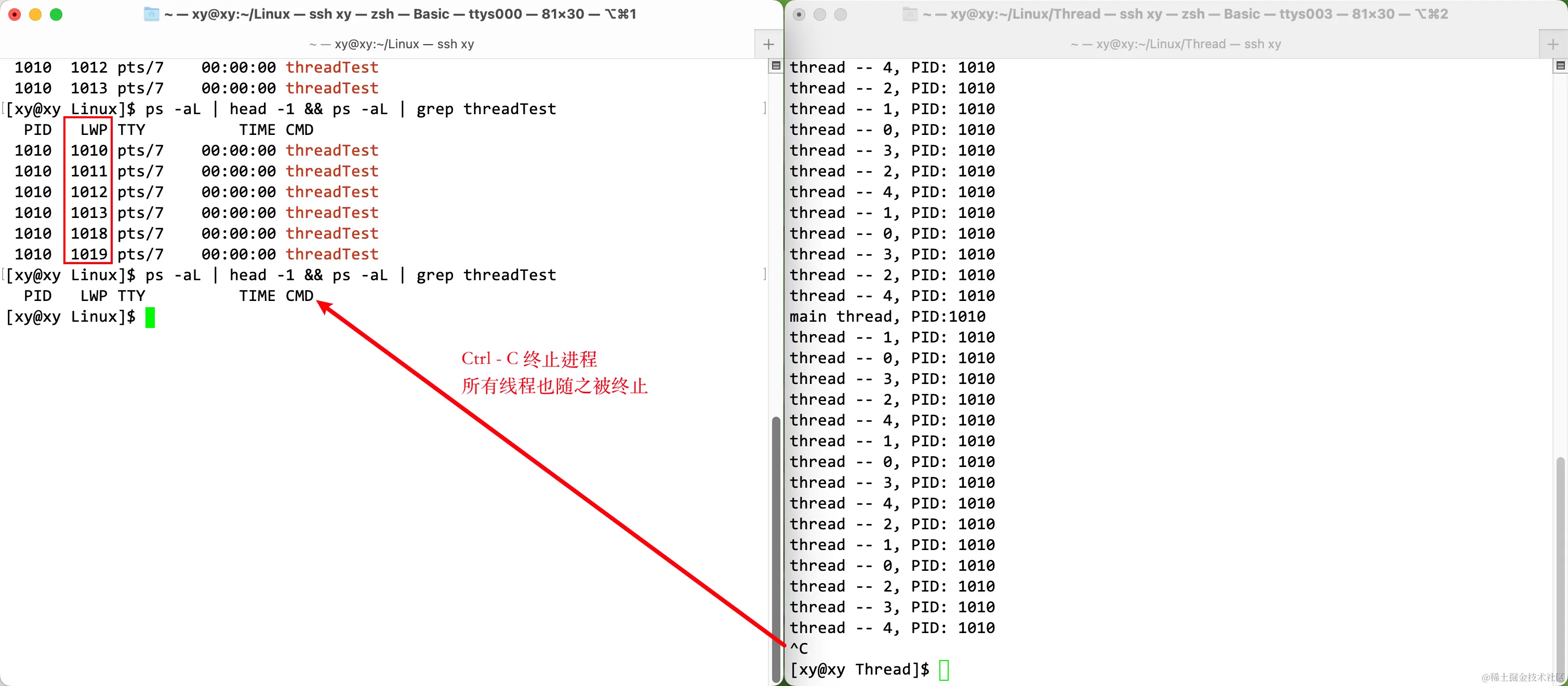 image-20230406000841551