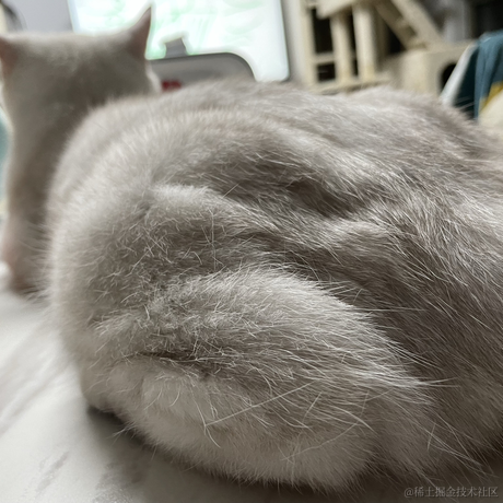 喵怼怼于2023-05-14 22:47发布的图片