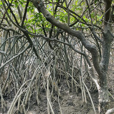 我想中奖于2023-01-26 13:10发布的图片