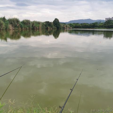 糖瓷碗0312于2023-06-21 23:47发布的图片