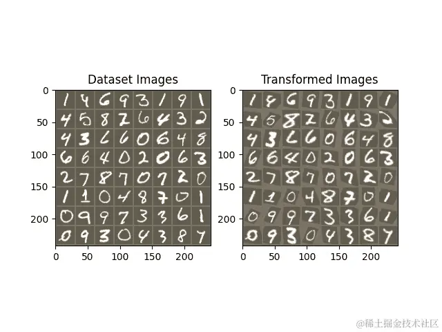 数据集图像，变换后的图像