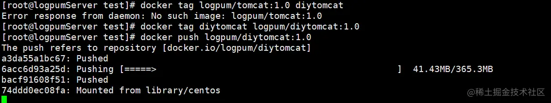 image-20220209184025212