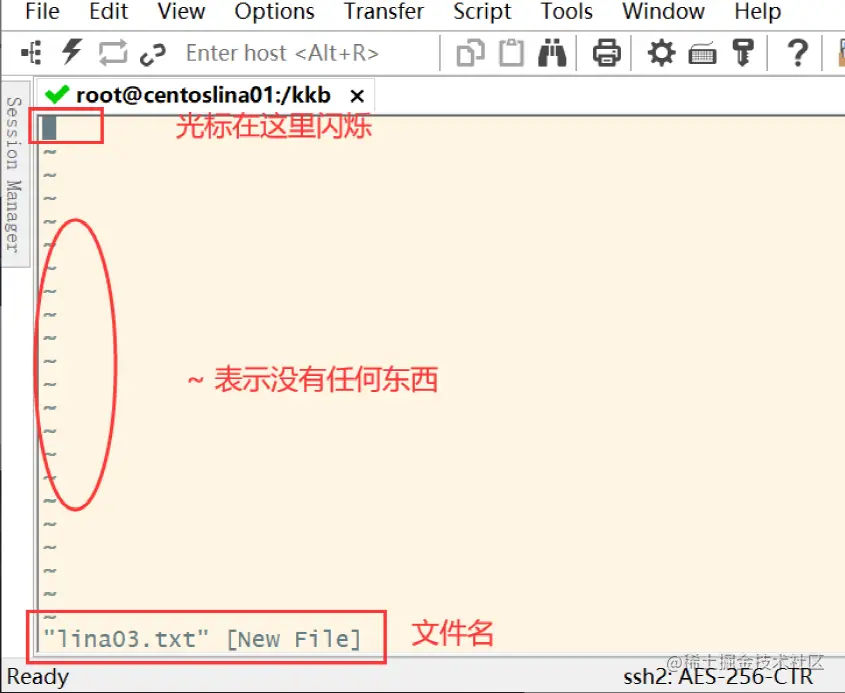 image-20220619111750026