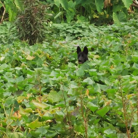 柯一01于2020-08-15 16:28发布的图片