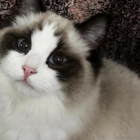 First于2023-05-18 09:10发布的图片