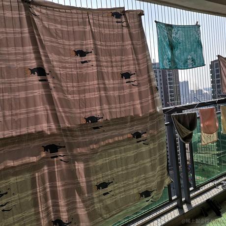 我想中奖于2023-01-29 14:58发布的图片