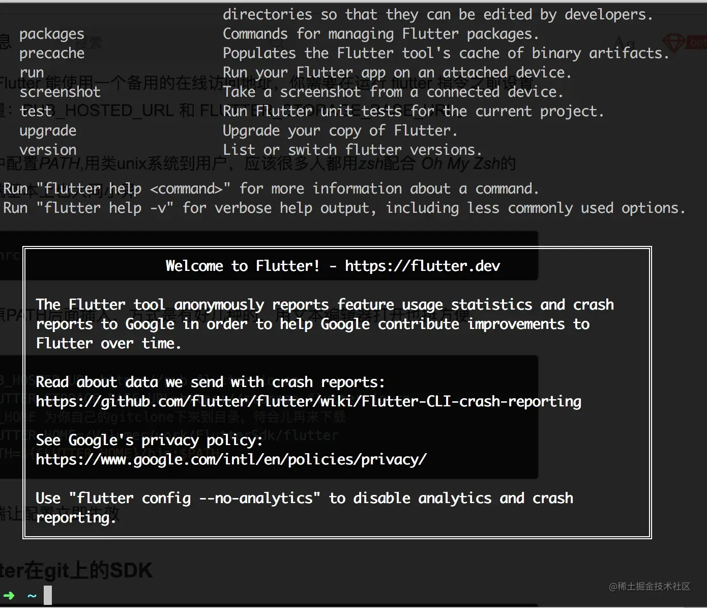 配置好之后执行flutter help