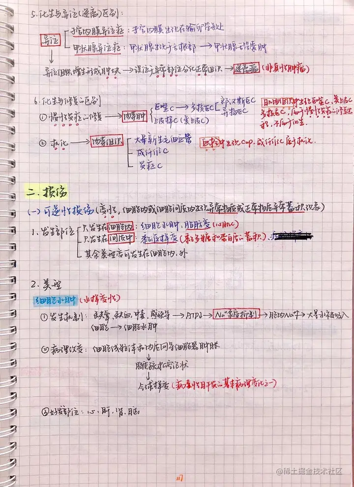 病理手写笔记.pdf