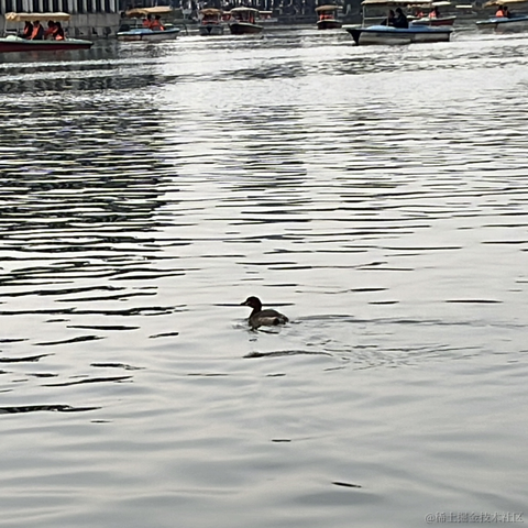 草莓酱于2024-03-29 09:15发布的图片