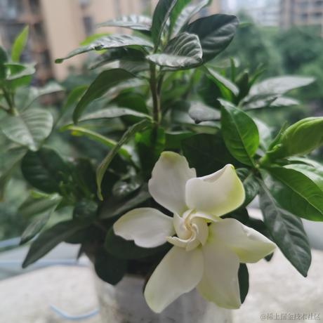 呀呀呀呀于2024-06-04 12:59发布的图片