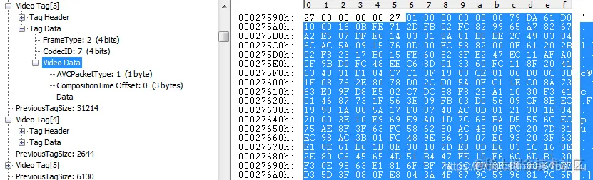 普通的VideoData 数据