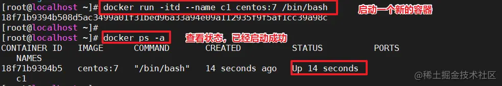 image-20220624162601654