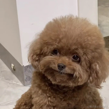 菠萝的蜜于2021-10-13 12:47发布的图片