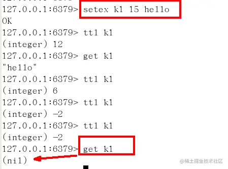 image-20200820171828050