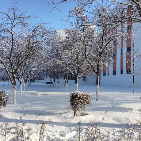 困困小孩救济中心于2022-11-08 23:17发布的图片