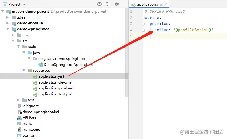 image-20220606115635516