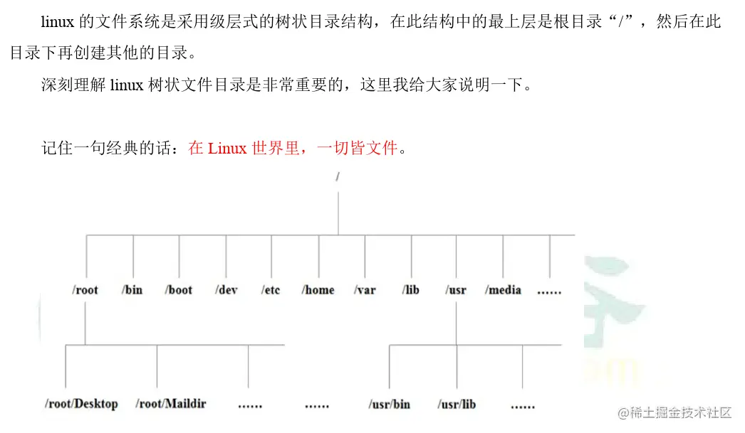 image-20220308161334007